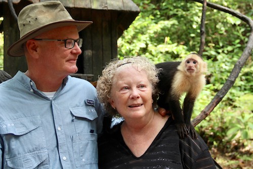 White Face Capuchin Monkey
